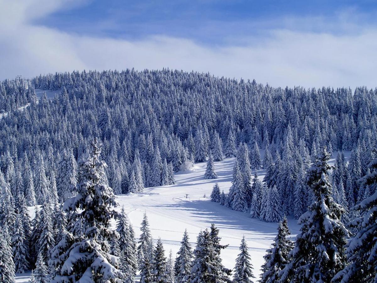 As Lux Apartmani Kopaonik Exteriér fotografie
